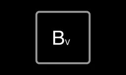 B VERSION app icon