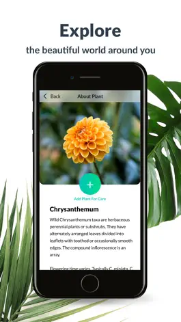 Game screenshot Plant Identification Lite apk