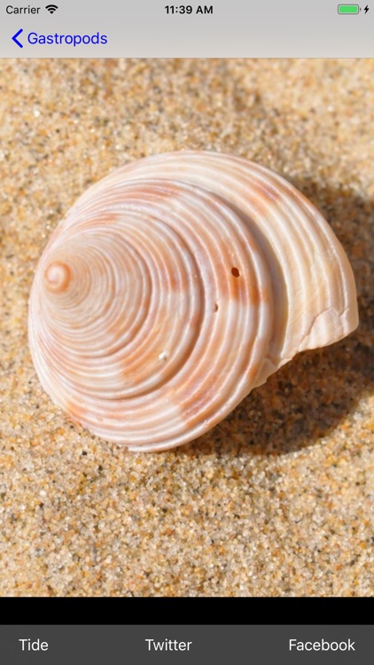 Sea Life EU screenshot-9