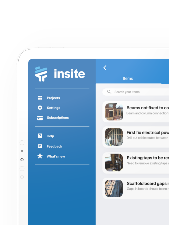 Insite - Audit and Snag