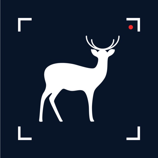 Wildlife Cam Pro Download