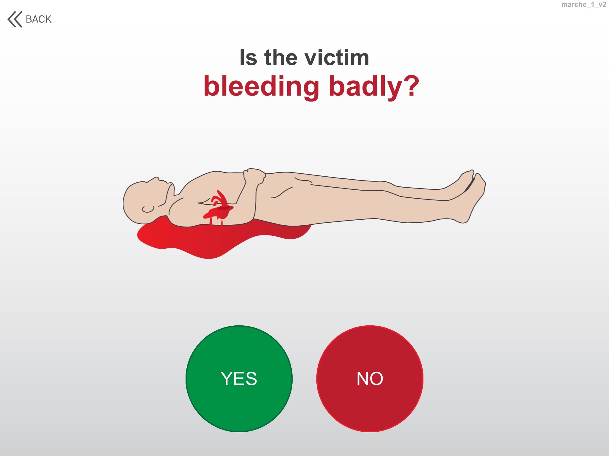 Mobilize Trauma Kits screenshot 2