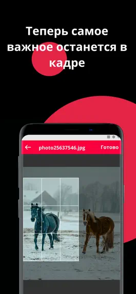 Game screenshot Danilevskiilab hack