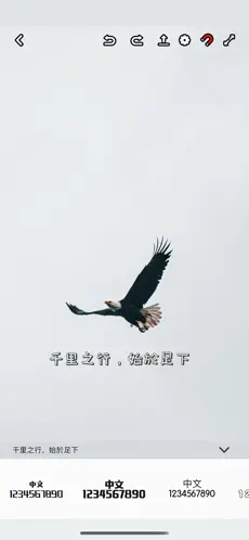 230x498bb.webp