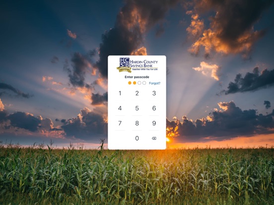 HCSB App iPad screenshot 2 - Finance app