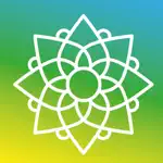 Mandala Patterns App Negative Reviews