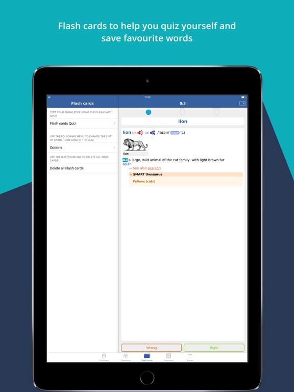 Cambridge English–Turkish iPad screenshot 4 - Reference app