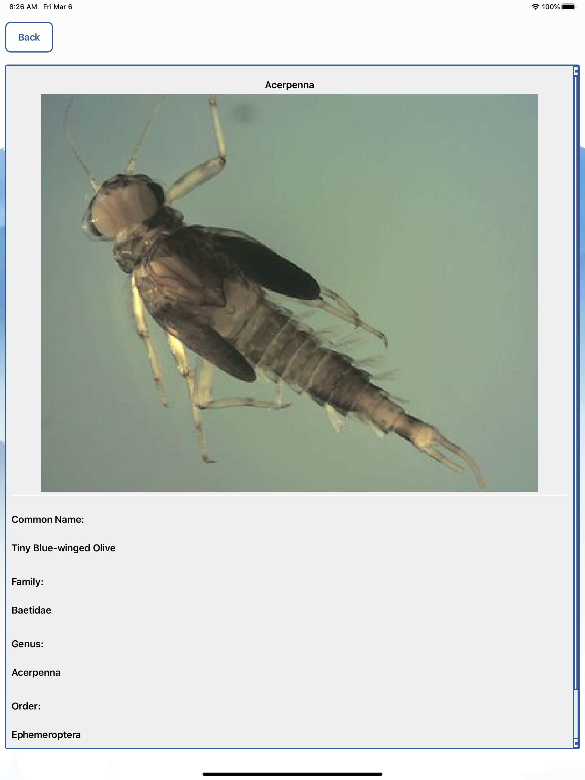 MacroInvertebrates