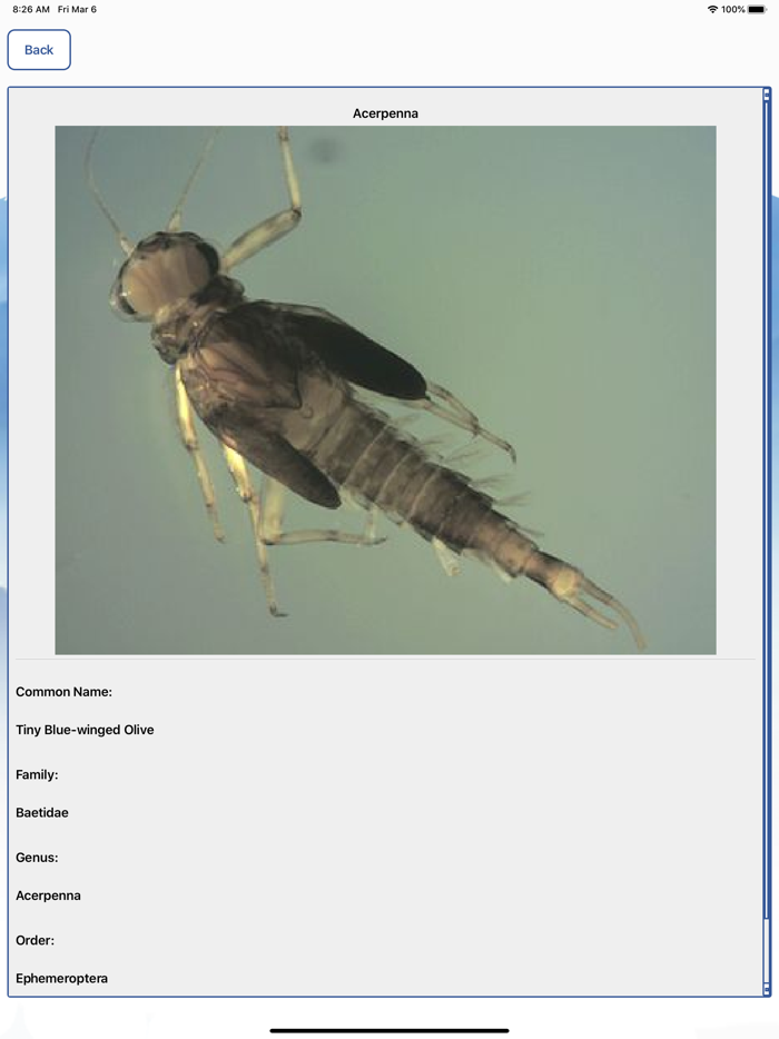 MacroInvertebrates