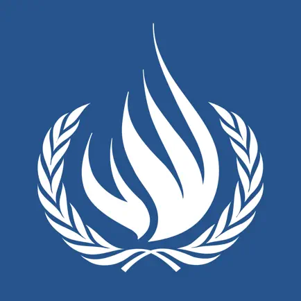 UN HumanRights Cheats