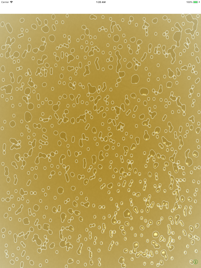 Ramen Soup Simulator