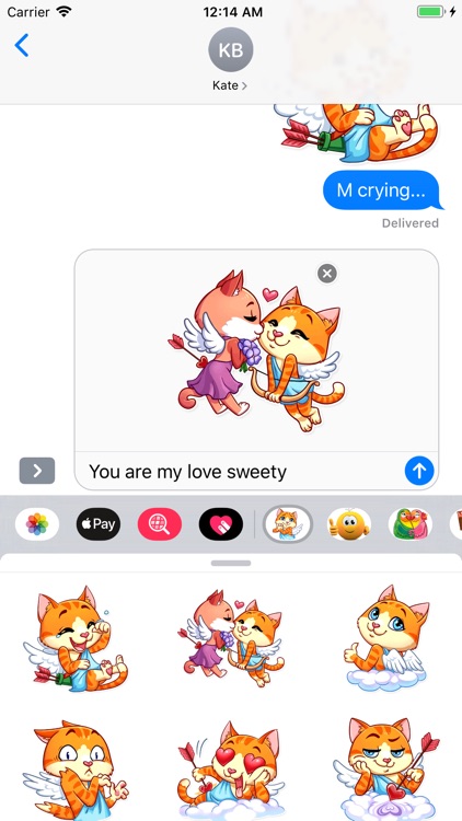 Cupid Cat Love Stickers