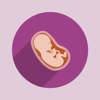 Pontus Hilding - Pregnant Food - Eat or Avoid アートワーク
