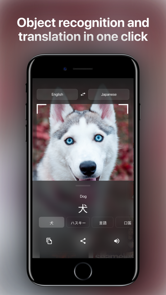 #2. Magic Translator (iOS) 由: Volha Kaziura