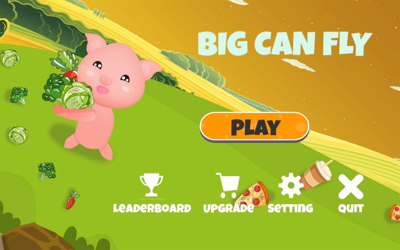 Big Can Fly app screenshot