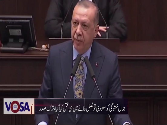 Screenshot #6 pour VOSA TV