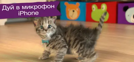 Маленький Котенок: Моя Кошечка