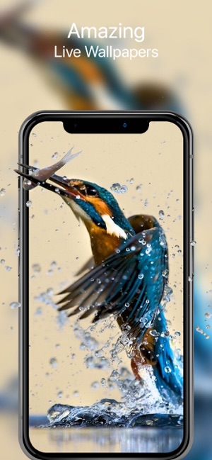 Your Live Wallpapers(圖1)-速報App