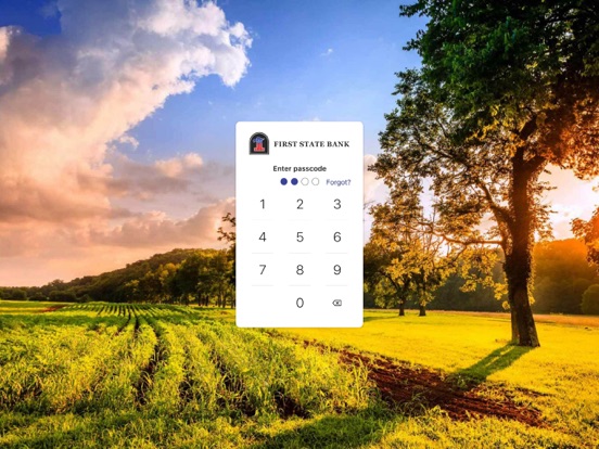 FSB Go iPad screenshot 1 - Finance app