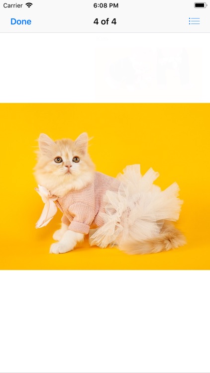 Pets In Costume screenshot-3