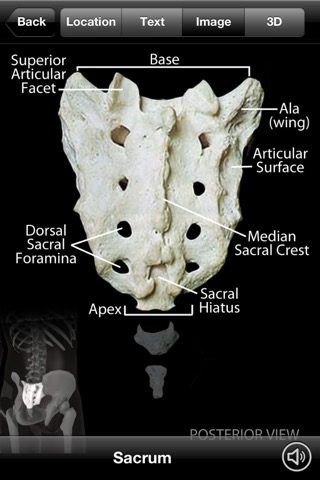 Anatomy Masterのおすすめ画像4