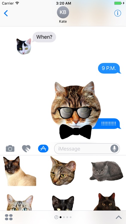 Cat Stickers for Messages screenshot-4