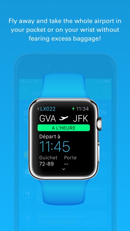 Genève Aéroport (GVA) screenshot-8