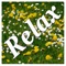 It is the Best Relax Music application