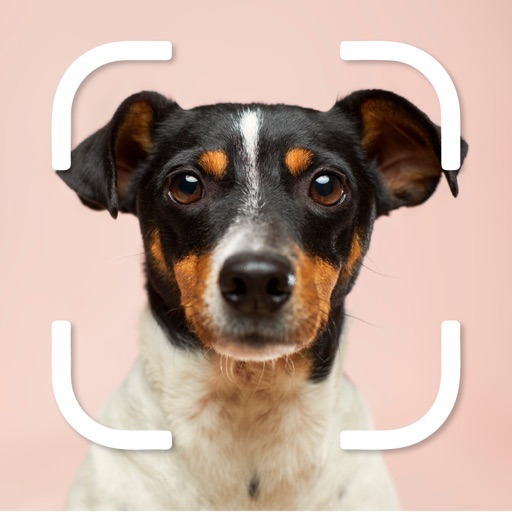 Dog Selfie Camera Editor icon