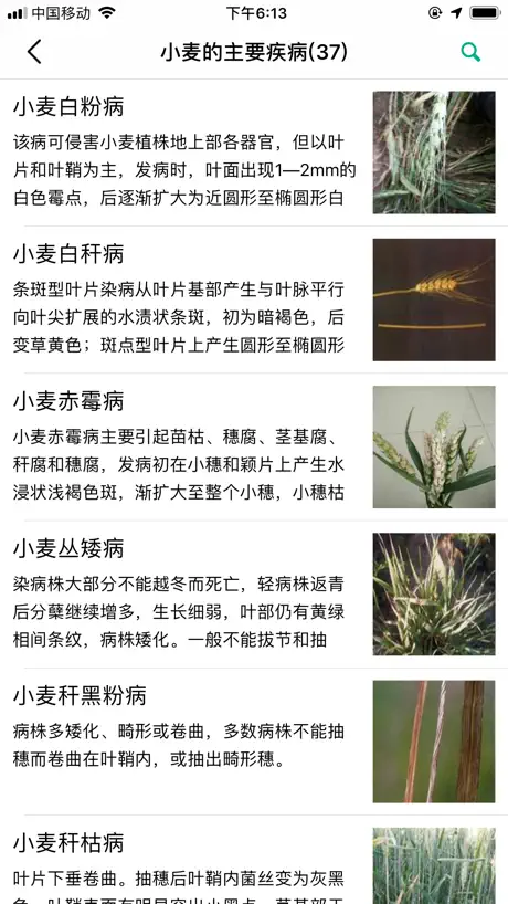 植保家
