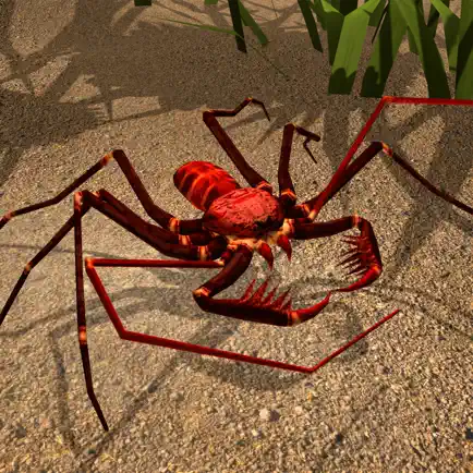 Life of Phrynus - Whip Spider Cheats
