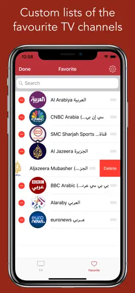 Game screenshot UAE TV - تلفزيون الإمارات hack