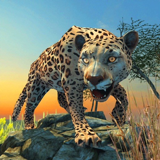 Clan Of Leopards Icon