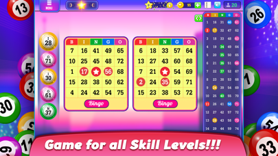 Bingo Family: Online Bingo Screenshot