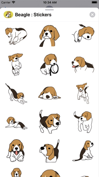 Beagle : Stickers