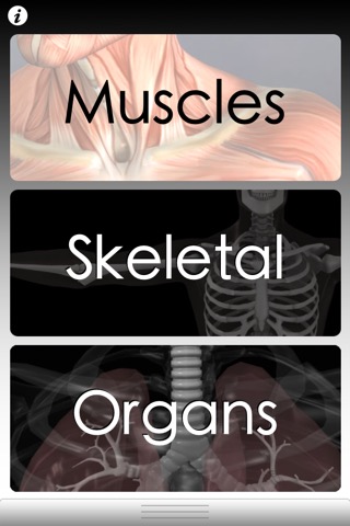 Anatomy Masterのおすすめ画像5