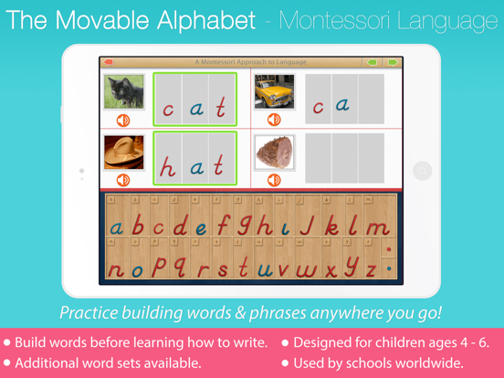 Movable Alphabet - D'Nealian