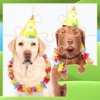 Puzzle Pets Dogs Cats Game icon