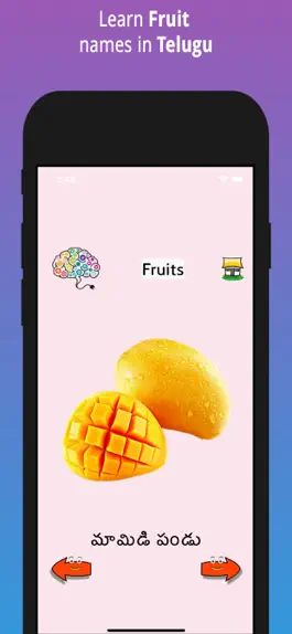 Game screenshot Learn Telugu Flash Cards apk