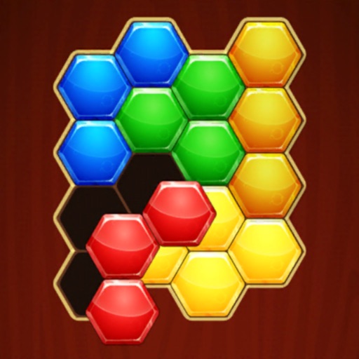 Hexa Blocks! Puzzle icon