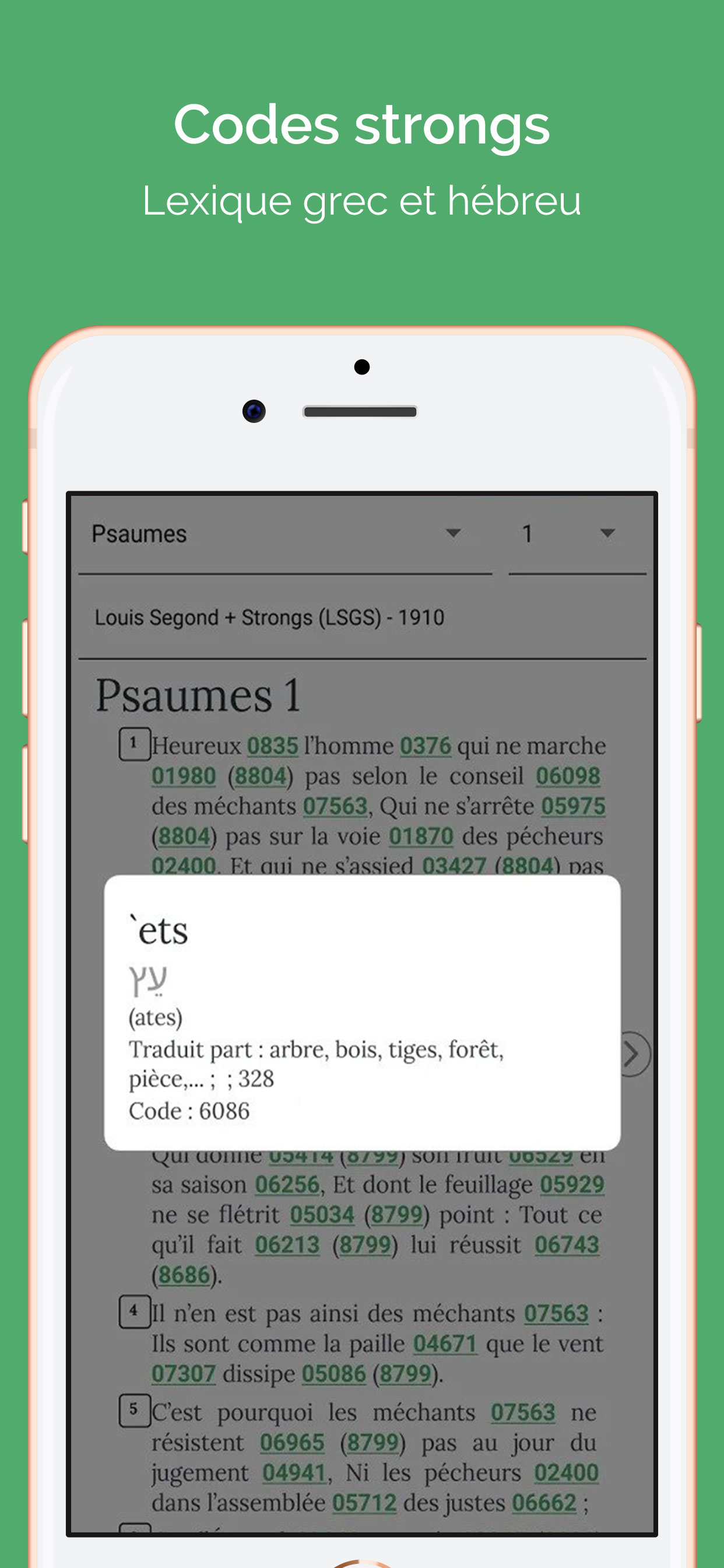 Levangile screenshot 2