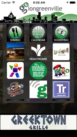 Game screenshot iOnGreenville mod apk