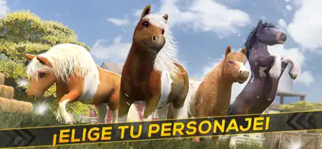 My Pony Horse Riding & Jumping
