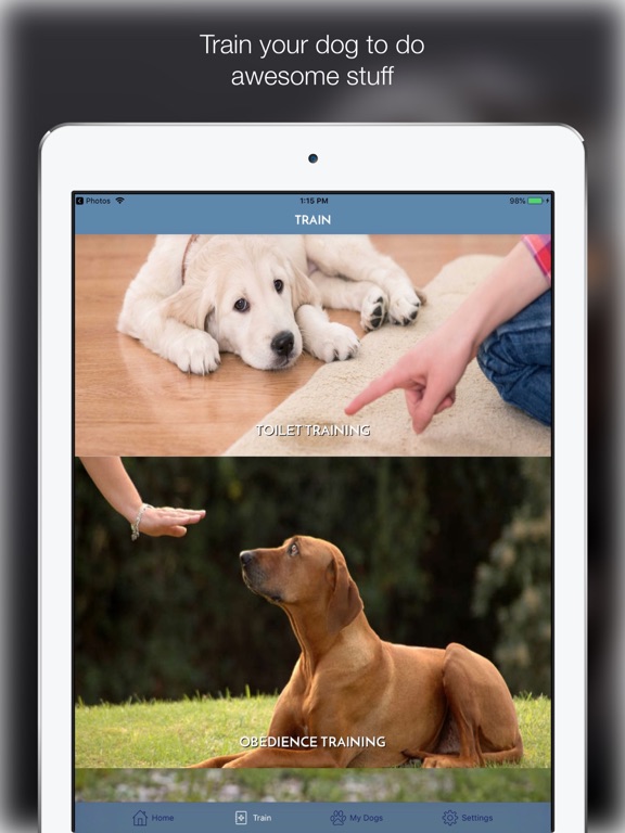 Screenshot #5 pour My Dog App - Care my Dog