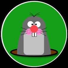 Activities of Poke-A-Mole