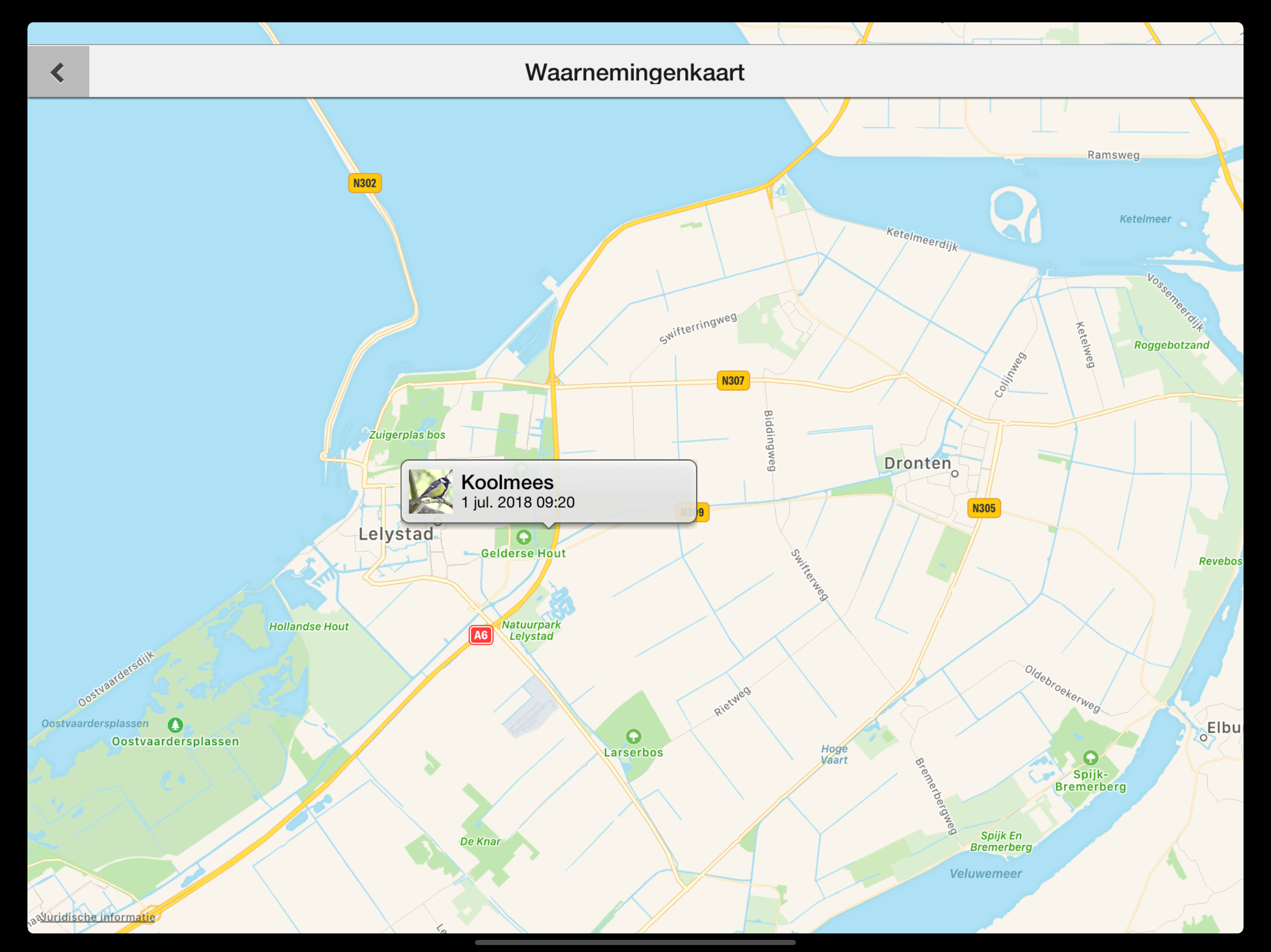 Birds of the Netherlands