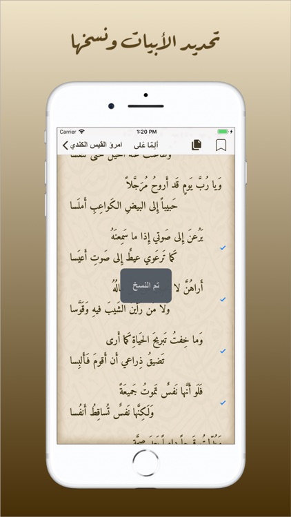 ديوان العرب screenshot-5