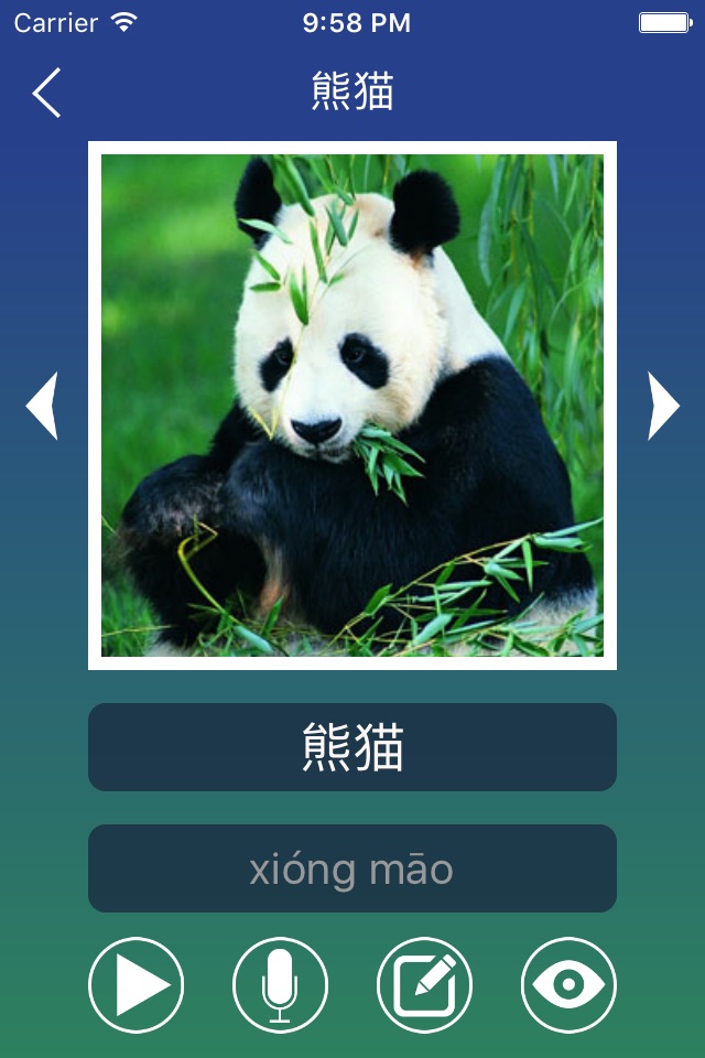 Chinese Word Flashcards Easy screenshot 3
