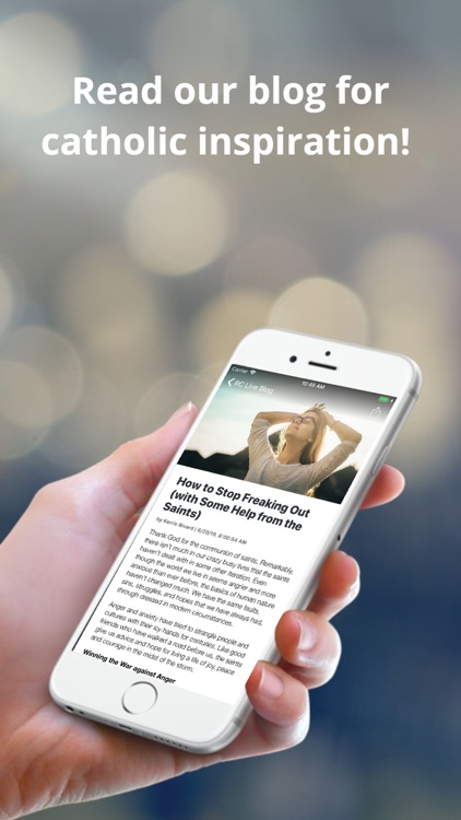 Regnum Christi English