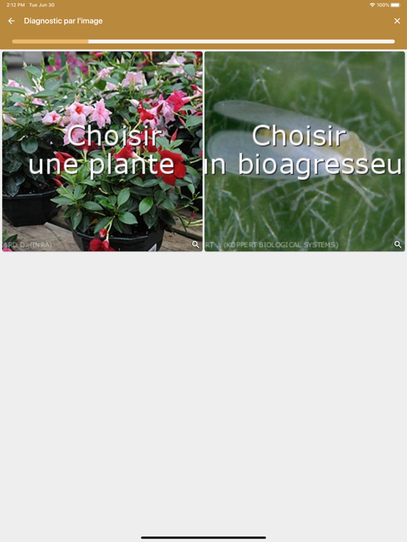 Screenshot #5 pour VigiHorti